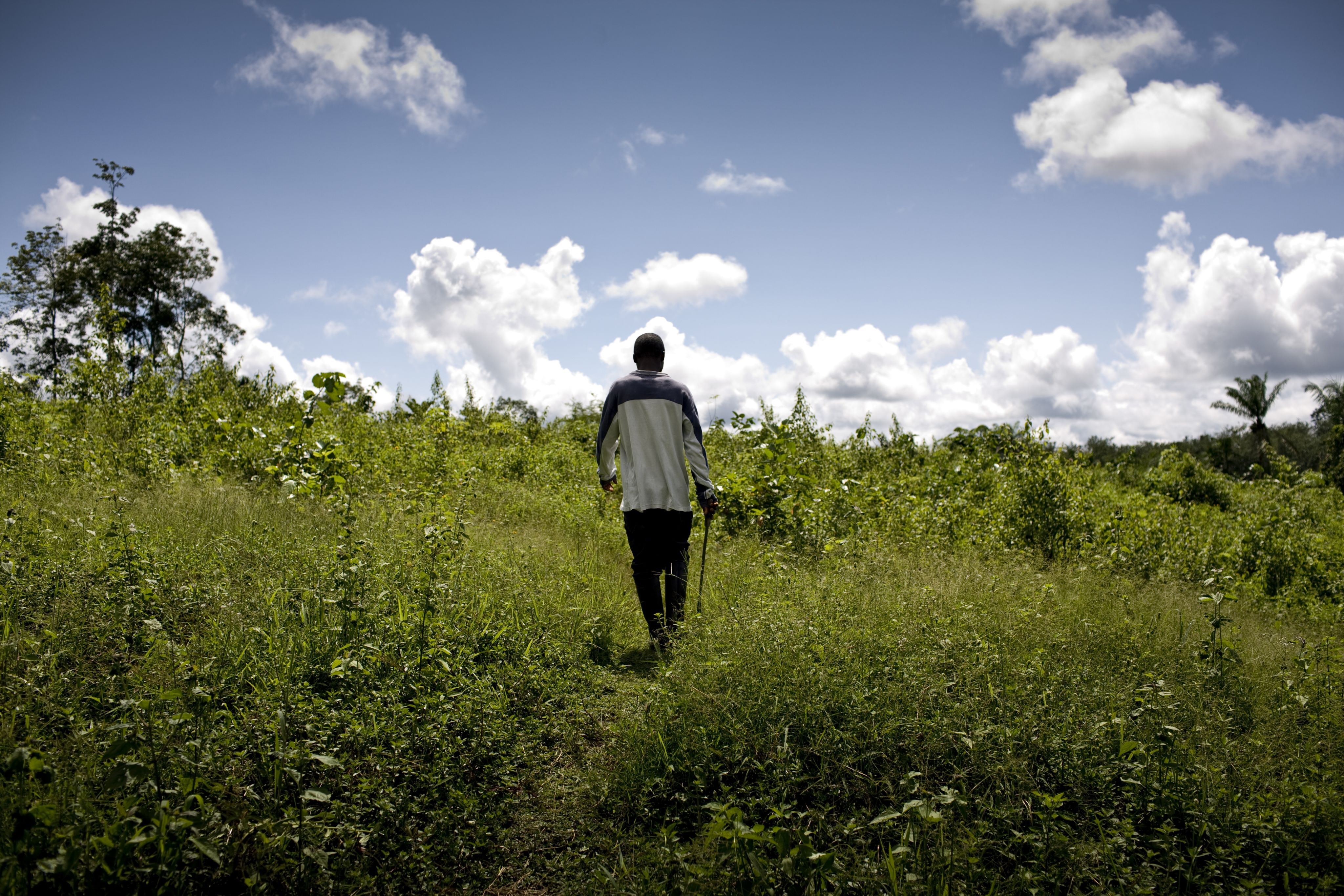 A photo of a man walking in a field in Liberia. Credit: Glenna Gordon